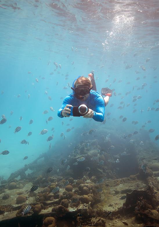 Diving The Ocean Blue